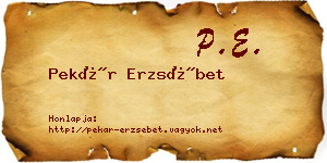 Pekár Erzsébet névjegykártya